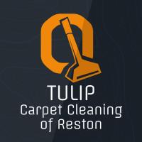 Tulip Carpet Cleaning of Reston image 1